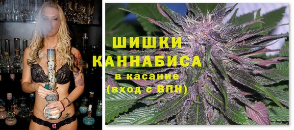 прущие крисы Абаза
