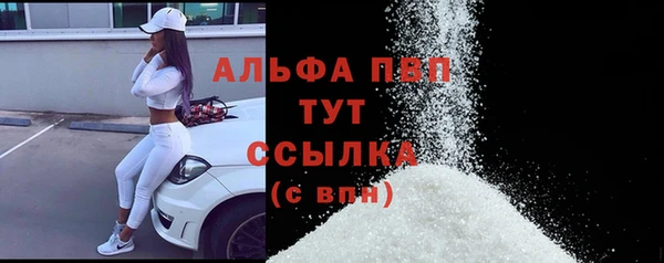 прущие крисы Абаза