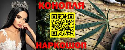 дживик Тулун
