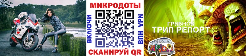 Галлюциногенные грибы MAGIC MUSHROOMS  купить наркотики сайты  Россошь 