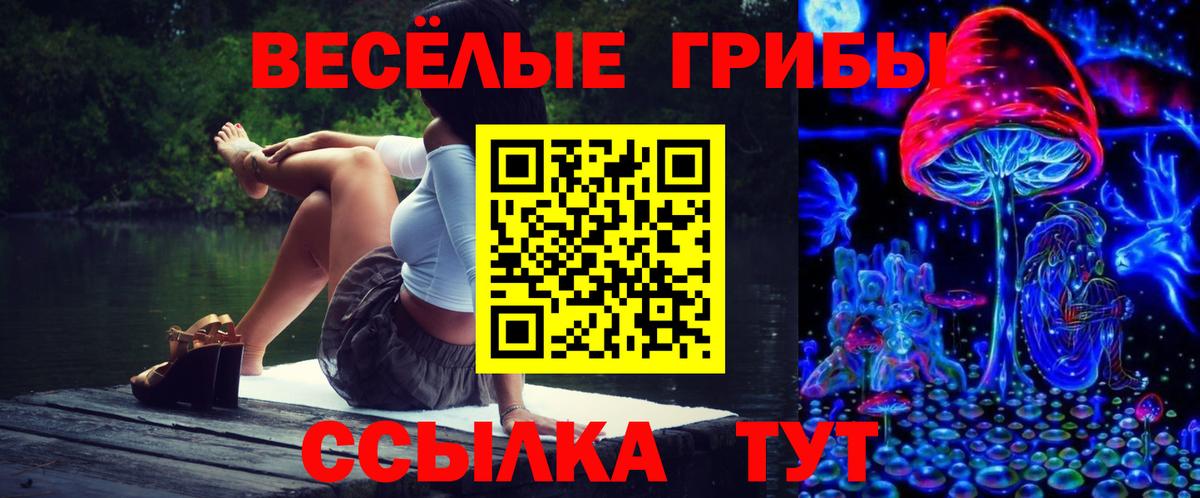 Галлюциногенные грибы Psilocybine cubensis  Вход с VPN  Россошь 