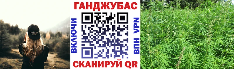 купить   Россошь  Шишки марихуана семена 